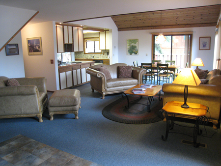 Living Dining Kitchen