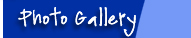 Photo Gallery